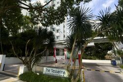 The Tessarina (D10), Condominium #532088461